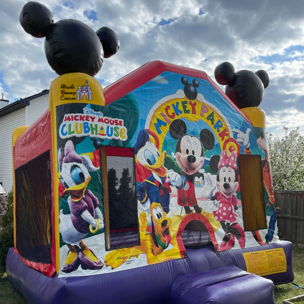 Mickey Mouse Bouncy